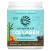 Sunwarrior Collagen Building Protein Peptides Chocolate Fudge 1.1 lb (500 g) 4 Thực phẩm chức năng Sunwarrior Collagen Building Protein Peptides Chocolate Fudge 1.1 lb (500 g) 814784026534