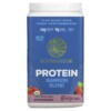 Thực phẩm chức năng Sunwarrior Warrior Blend Protein Berry 1.65 lb (750 g) 814784024233