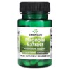 Thực phẩm chức năng Swanson Magnolia Extract 200 mg 30 Veggie Caps 087614142258