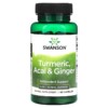 Swanson Turmeric Acai & Ginger 60 Capsules 4 Thực phẩm chức năng Swanson Turmeric Acai & Ginger 60 Capsules 087614115863
