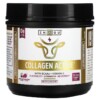 Thực phẩm chức năng Zhou Nutrition Collagen Active Black Berry and Cherry 13.3 oz (378 g) 669191525633